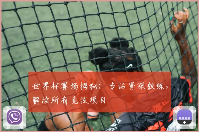 世界杯赛场揭秘：专访资深教练，解读所有竞技项目
