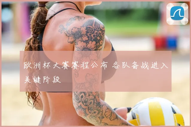 欧洲杯大赛赛程公布 各队备战进入关键阶段