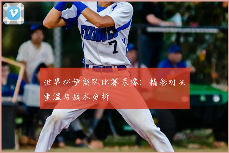 世界杯伊朗队比赛录像：精彩对决重温与战术分析