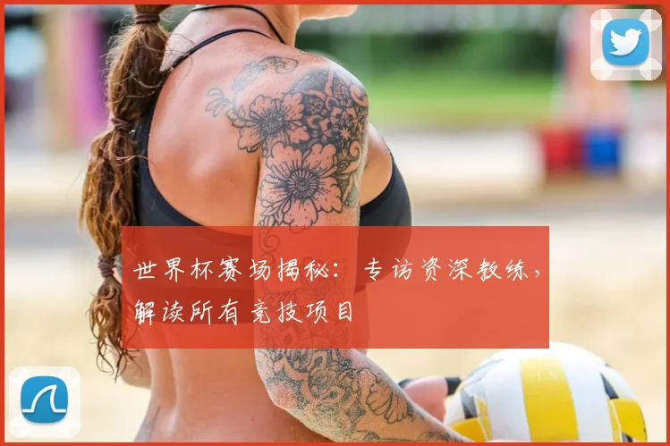 世界杯赛场揭秘：专访资深教练，解读所有竞技项目