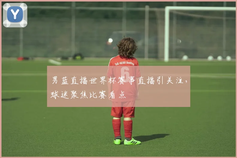 男蓝直播世界杯赛事直播引关注，球迷聚焦比赛看点