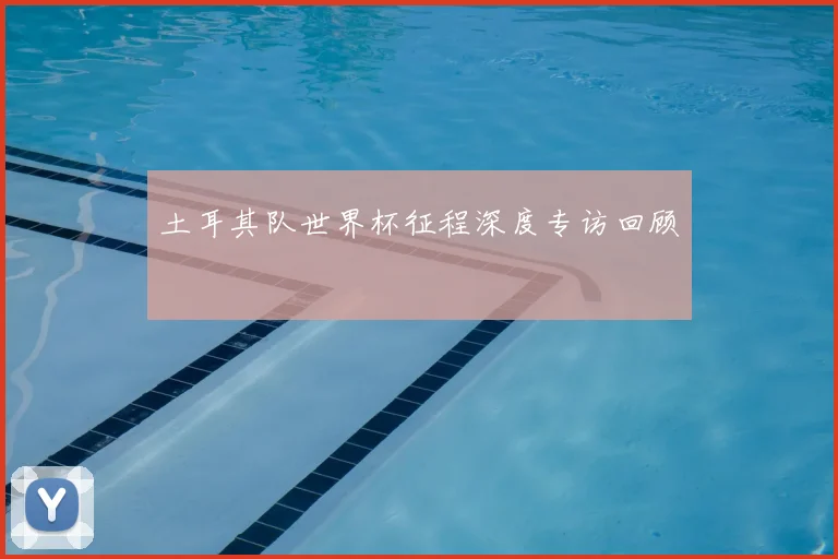 土耳其队世界杯征程深度专访回顾