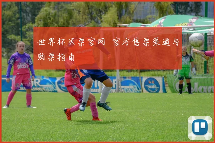 世界杯买票官网 官方售票渠道与购票指南