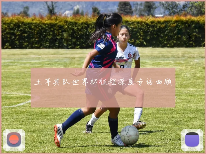 土耳其队世界杯征程深度专访回顾