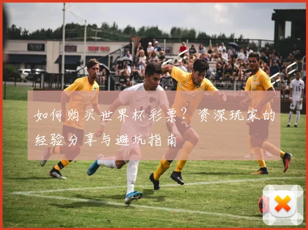 如何购买世界杯彩票?资深玩家的经验分享与避坑指南