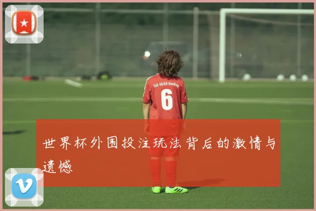 世界杯外围投注玩法背后的激情与遗憾