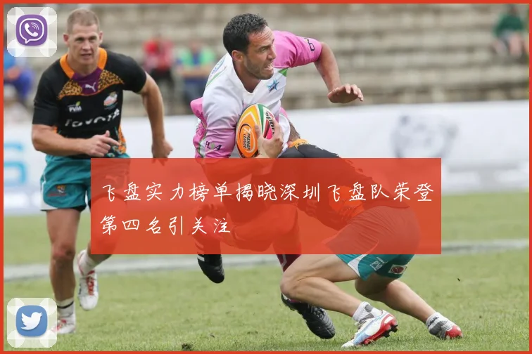 飞盘实力榜单揭晓深圳飞盘队荣登第四名引关注