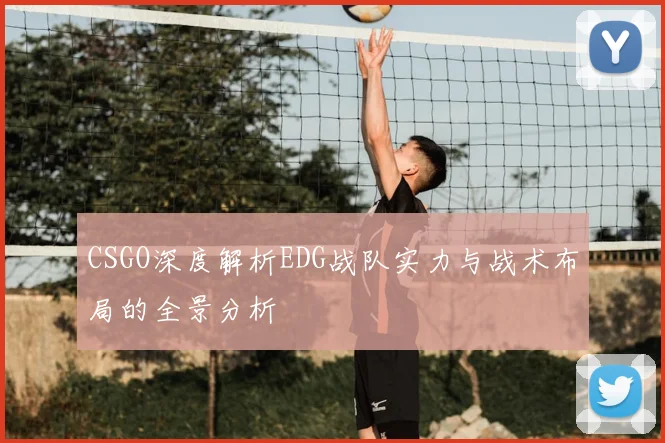 CSGO深度解析EDG战队实力与战术布局的全景分析