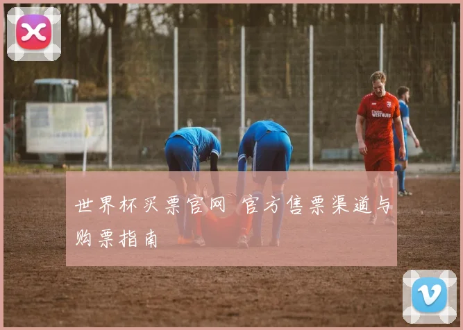 世界杯买票官网 官方售票渠道与购票指南