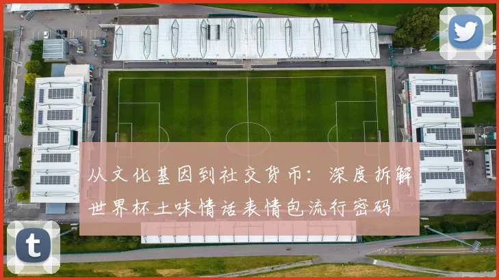 从文化基因到社交货币：深度拆解世界杯土味情话表情包流行密码