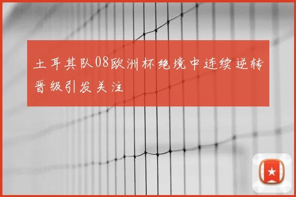 土耳其队08欧洲杯绝境中连续逆转晋级引发关注