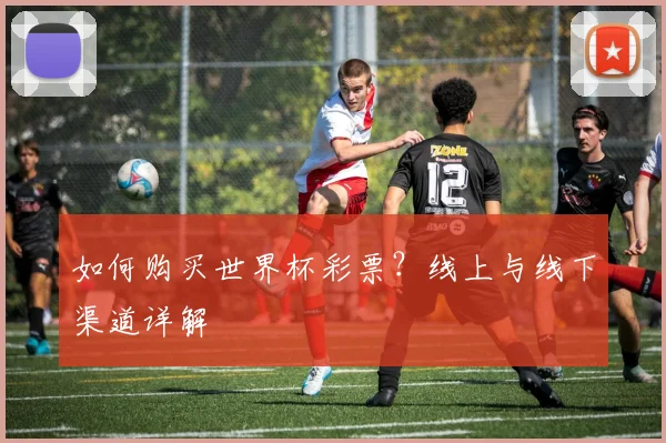 如何购买世界杯彩票？线上与线下渠道详解